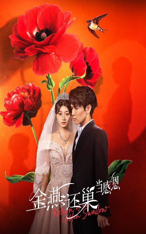 短剧 《金燕还巢当感恩》 高清完整全集免费在线观看无广告,金燕还巢时感恩 第1张 短剧 《金燕还巢当感恩》 高清完整全集免费在线观看无广告,金燕还巢时感恩 第1张