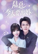 短剧 《陆总今天要离婚》 高清无删减全集完整版免费在线播放,陆总离婚高清全集在线观看 第1张 短剧 《陆总今天要离婚》 高清无删减全集完整版免费在线播放,陆总离婚高清全集在线观看 第1张
