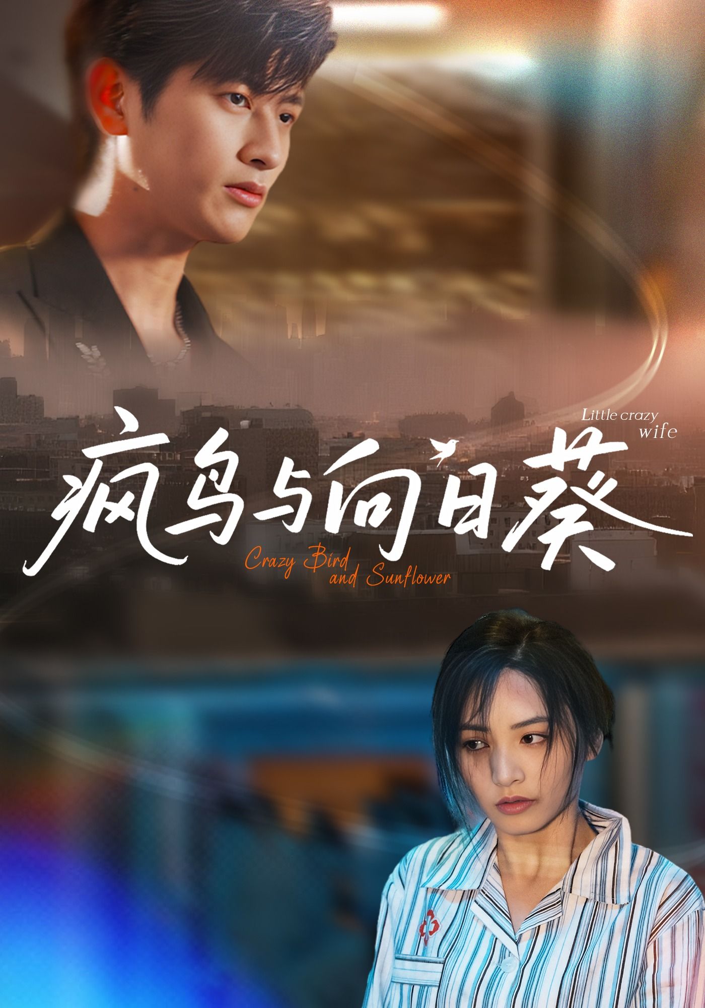 短剧 《疯鸟与向日葵》 超高清全集完整版免费在线播放  第1张