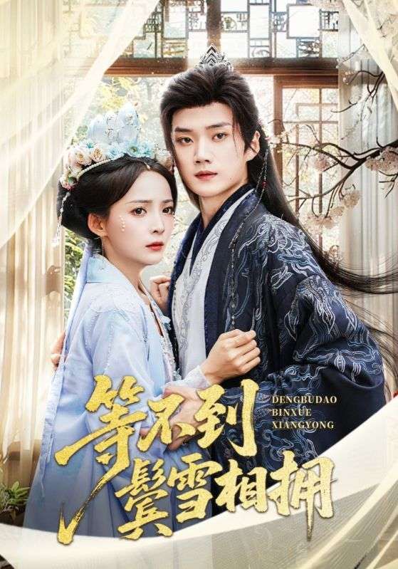 短剧 《等不到鬓雪相拥》 超高清无删减全集完整版免费在线看  第1张