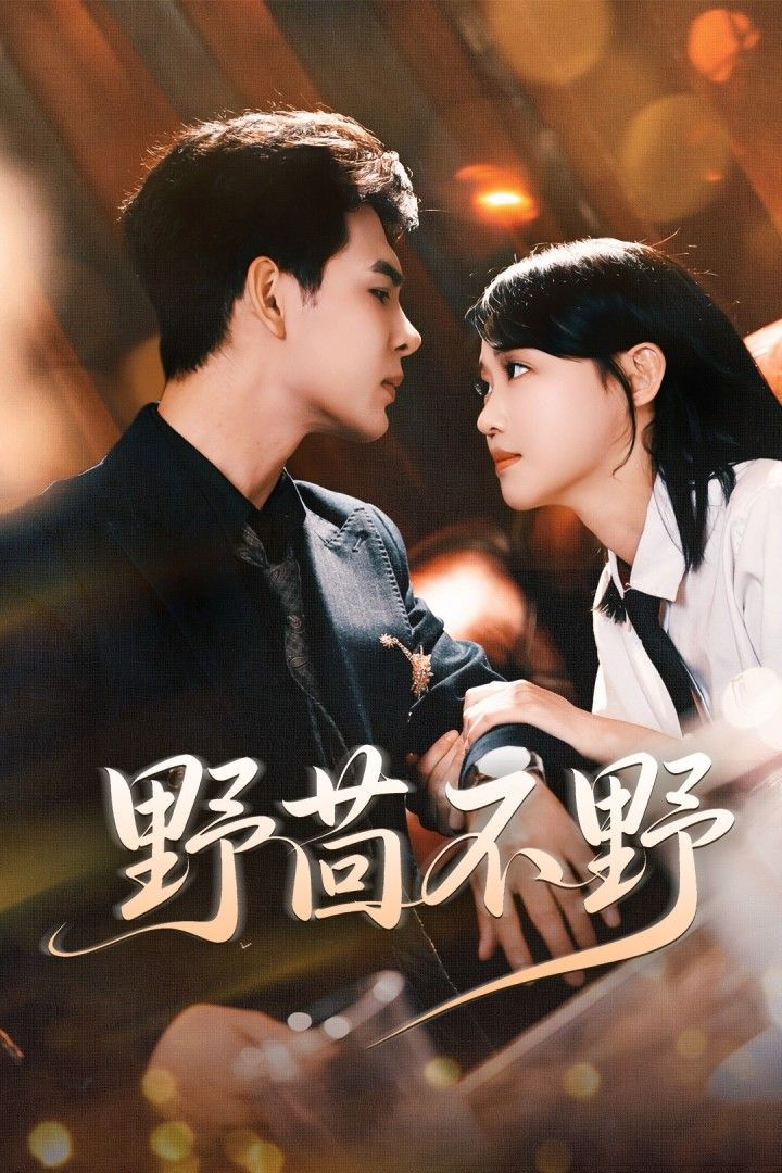 短剧野茴不野高清完整全集无删减版,在线免费播放,即刻追更! 第1张 短剧野茴不野高清完整全集无删减版,在线免费播放,即刻追更! 第1张