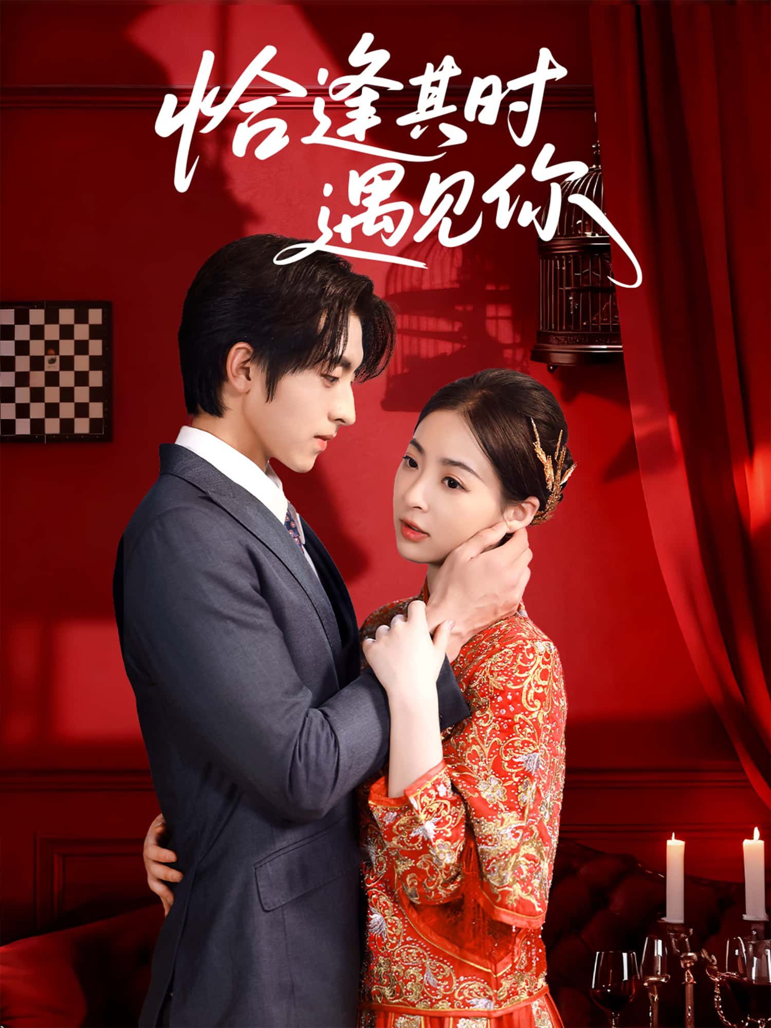 短剧恰逢其时遇见你可免费在线观看HD高清全集版，完整剧情随时畅享。