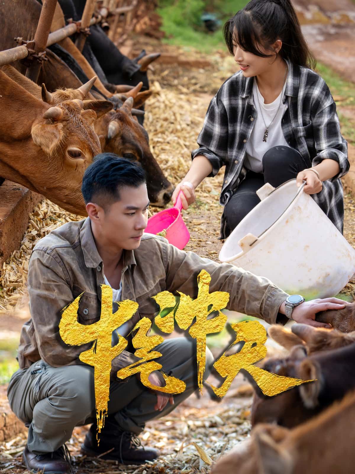 短剧牛气冲天高清全集完整版,免费在线看!  第1张 短剧牛气冲天高清全集完整版,免费在线看!  第1张