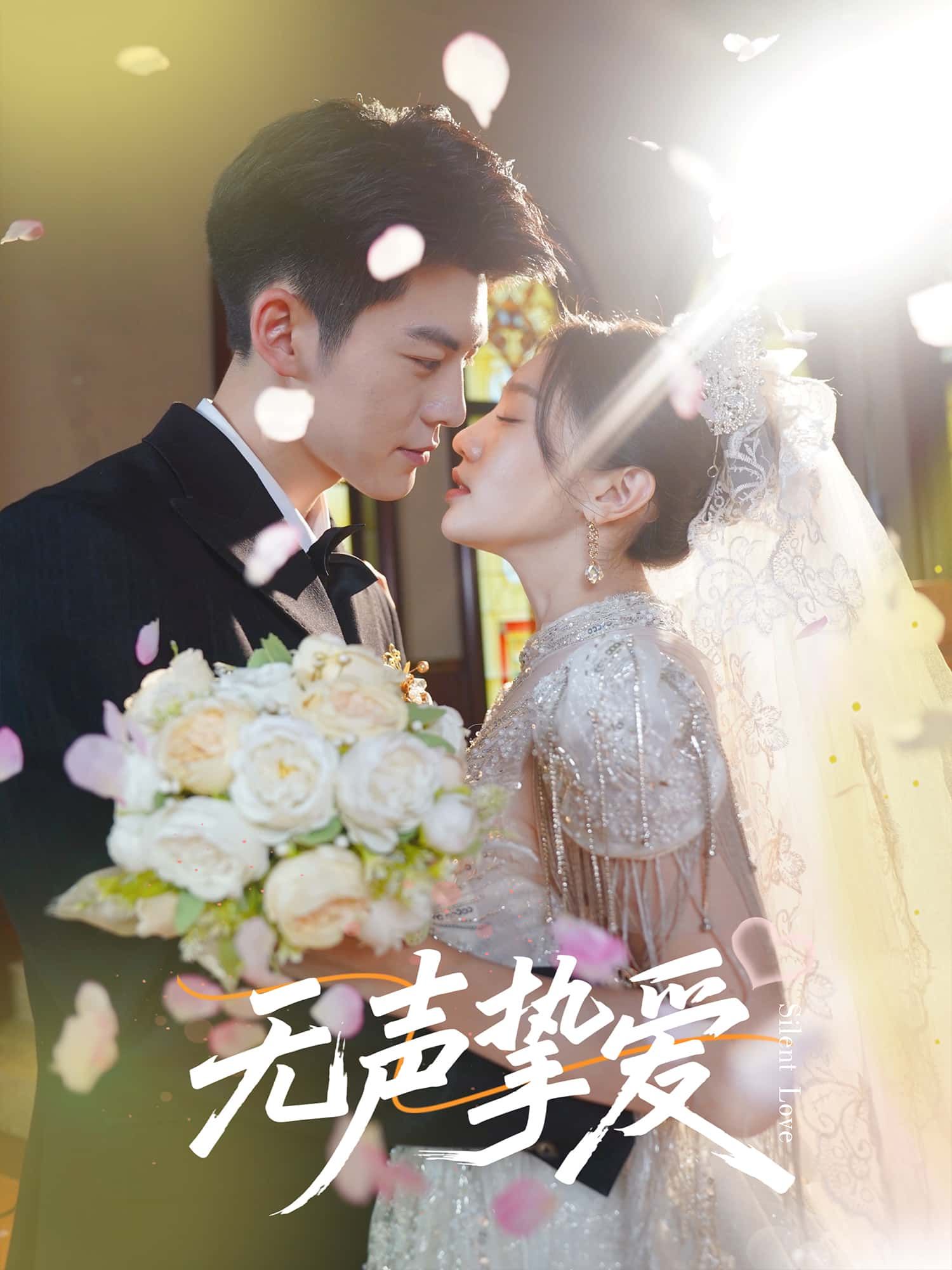 短剧 《无声挚爱》 免费在线看超高清全集无删减版  第1张