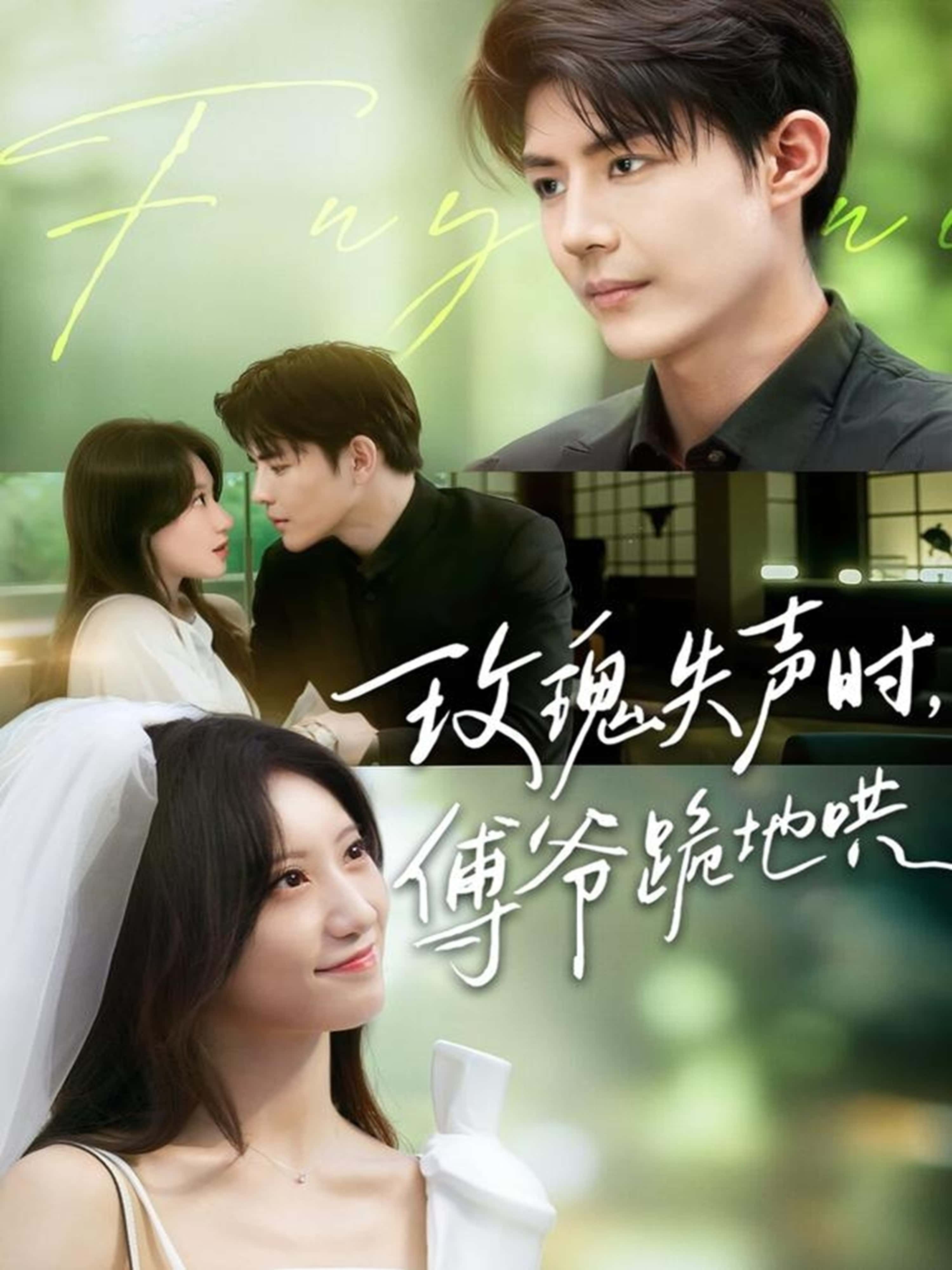 短剧 《玫瑰失声时傅爷跪地哄》 超高清完整全集在线播放无删减版  第1张