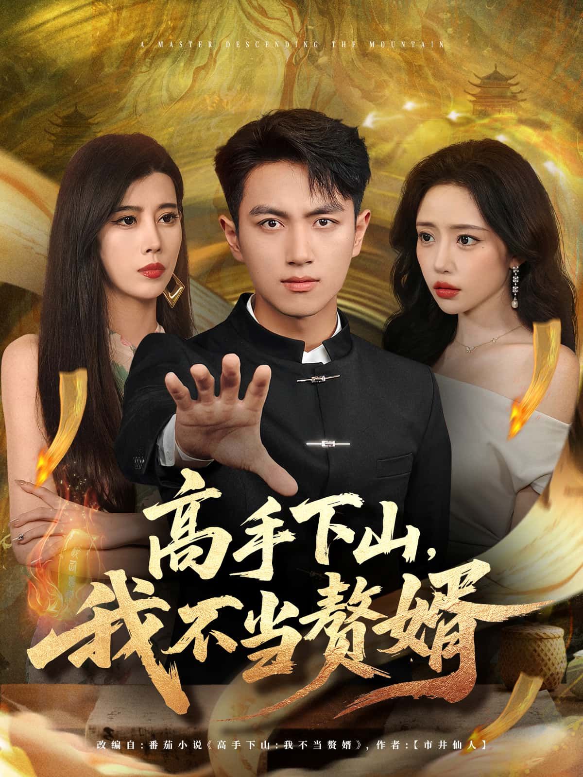 高手下山,我不当赘婿短剧,高手下山逆袭,超高清全集完整版在线看!