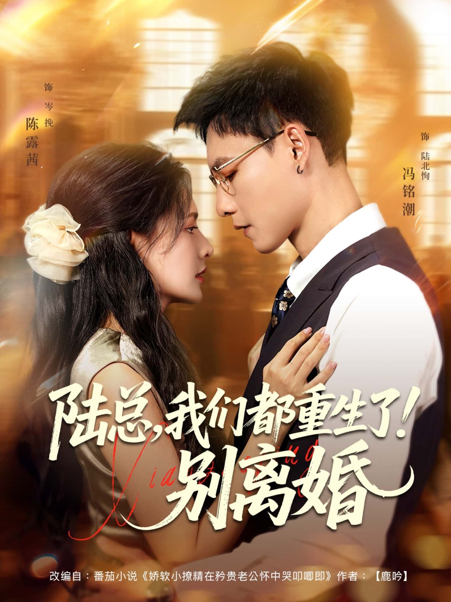 短剧陆总，我们都重生了！别离婚重生联手拒离婚，在线播放高清完整全集无删减版。