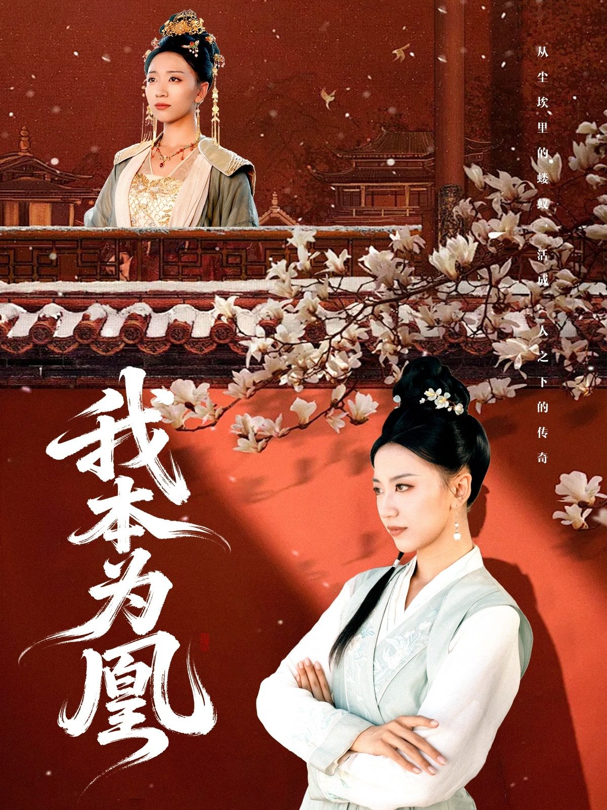 热门短剧我本为凰1080P超清高清画质，完整全集在线播放，无广告立即畅享全集观看  第1张