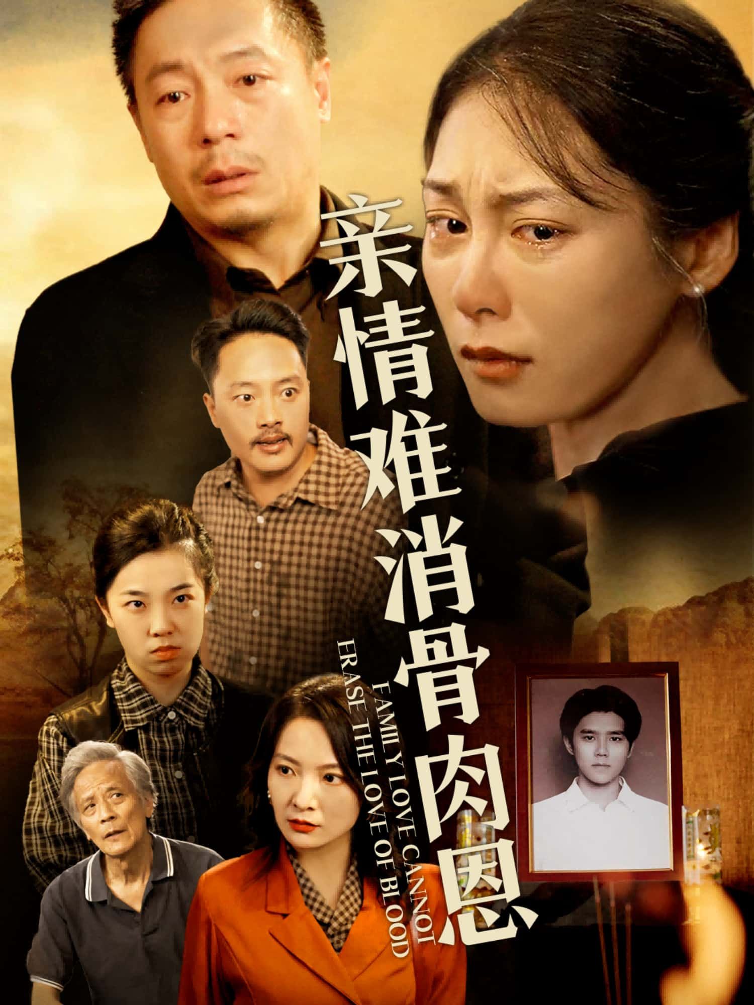 短剧 《亲情难消骨肉恩》 1080P HD 高清全集完整版在线观看  第1张