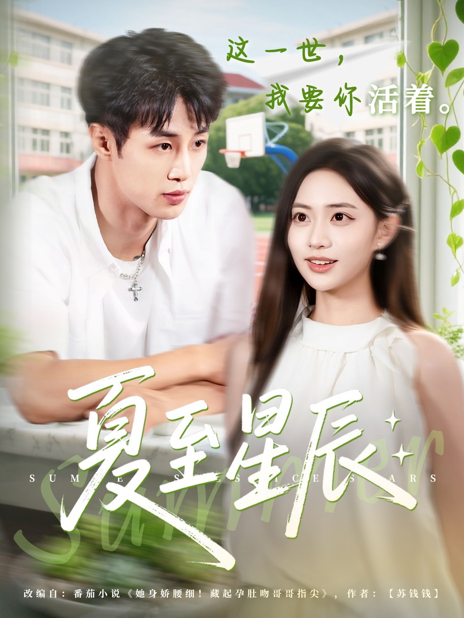 夏至星辰高清无删减全集完整版，在线观看全剧，尽享夏日浪漫与星辰故事。  第1张