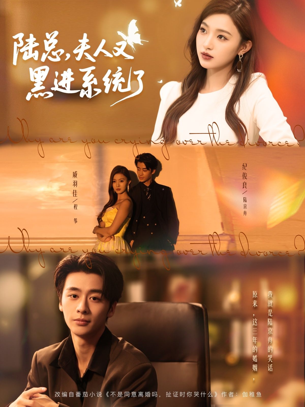 短剧陆总夫人又黑进系统了HD超高清全集完整版在线观看1080P  第1张