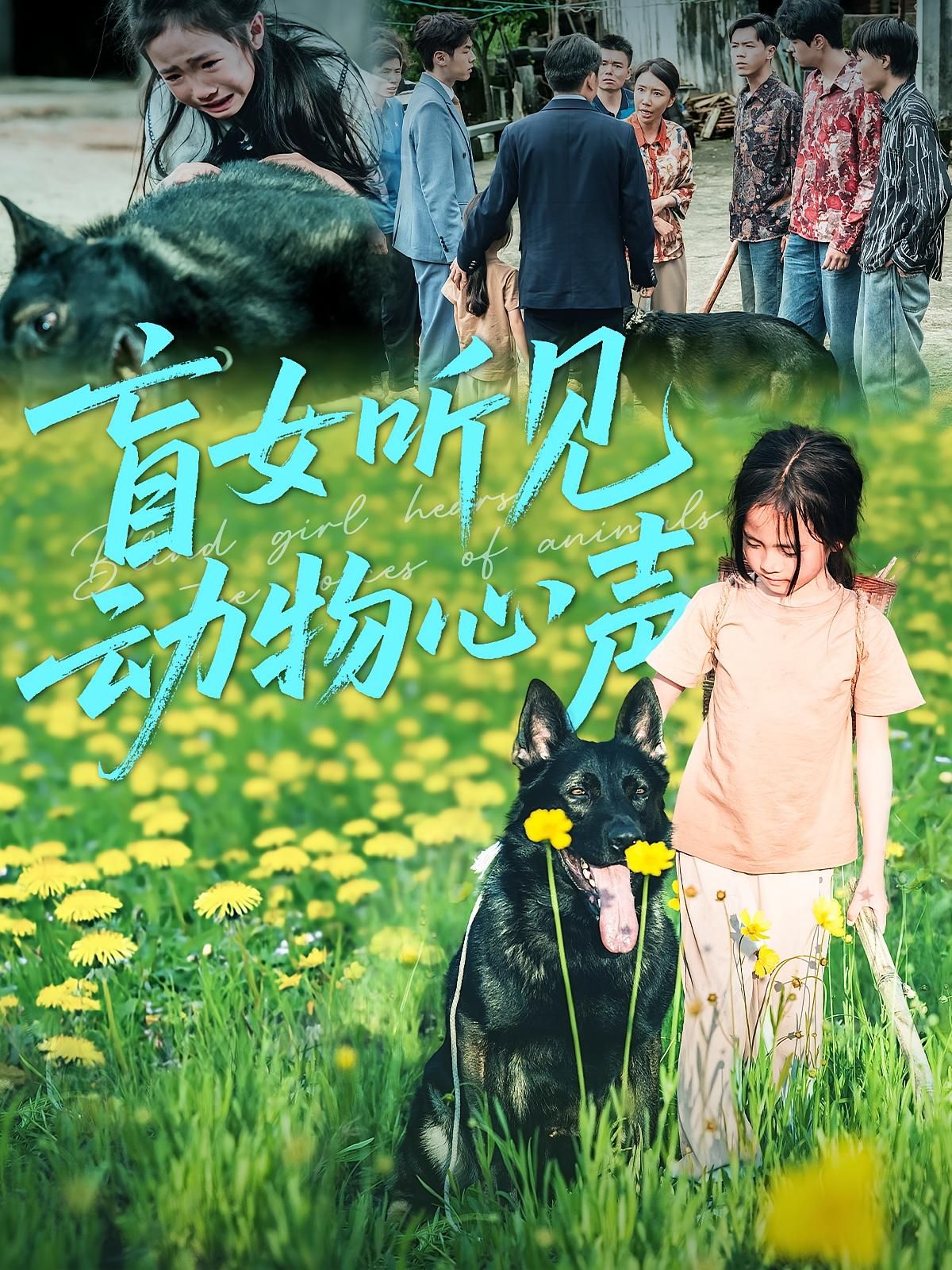 盲女听见动物心声！高清完整全集无删减版，在线观看，暖心治愈短剧。  第1张