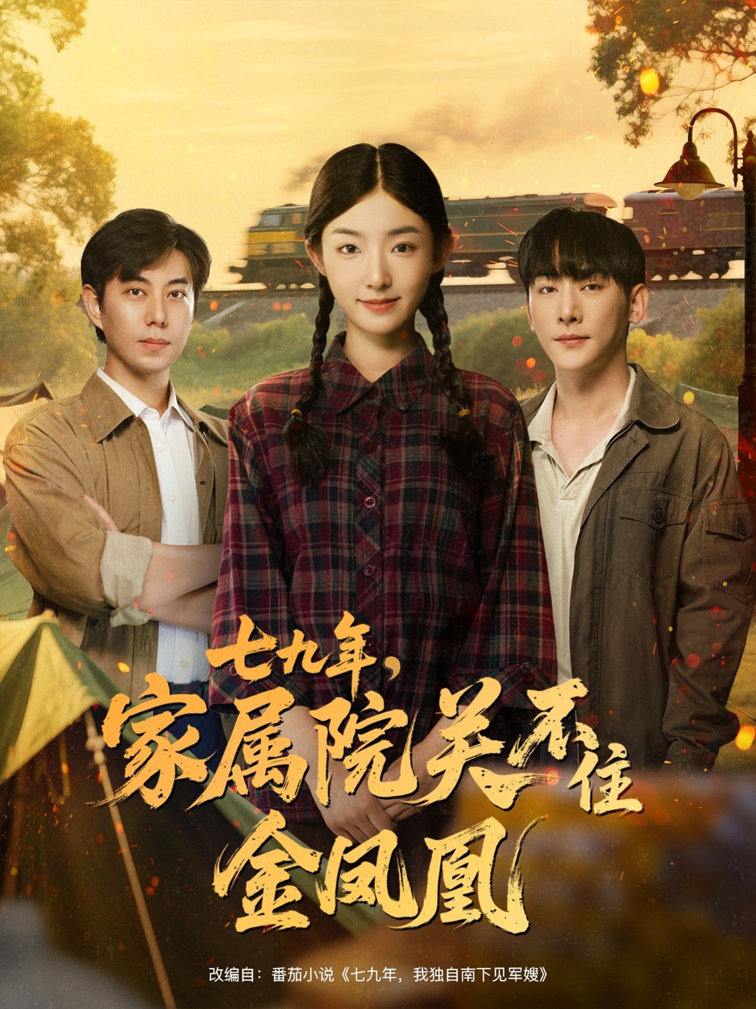 短剧 《七九年家属院关不住金凤凰》 在线播放超高清全集完整版  第1张