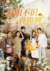 短剧有眼不识真锦鲤免费在线看，高清全集无删减，畅享完整剧情！