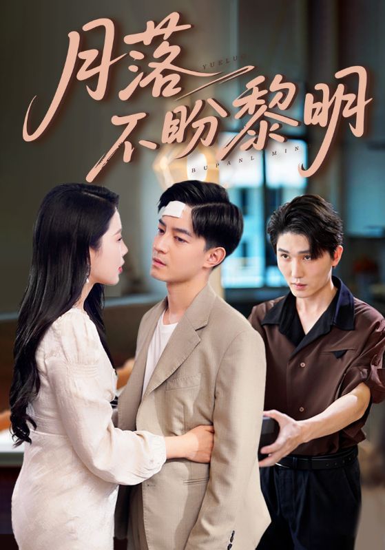 短剧 《月落不盼黎明》 高清全集完整版在线观看无广告