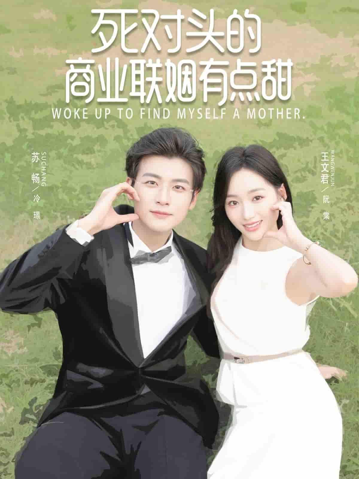 短剧死对头的商业联姻有点甜高清全集无删减，宿敌联姻超甜宠，在线播放畅看。  第1张