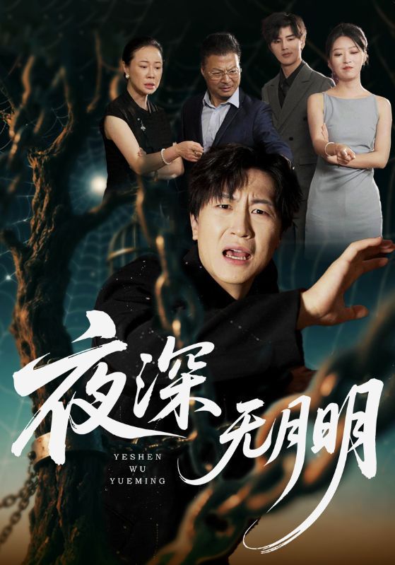 短剧 《夜深无月明》 1080P 高清全集无删减版在线播放  第1张