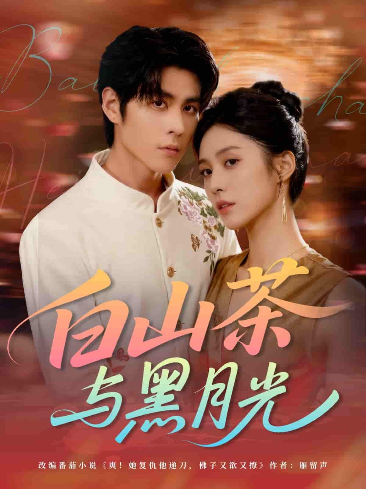 短剧 《白山茶与黑月光》 超高清完整全集无删减版在线观看  第1张 短剧 《白山茶与黑月光》 超高清完整全集无删减版在线观看  第1张