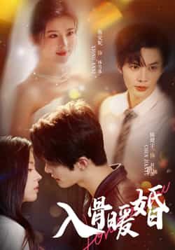 入骨暖婚短剧在线观看，超高清全集完整版，免费热播更新中！  第1张