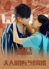 短剧顾总,夫人说她已经离婚1080P HD超高清全集完整版在线看