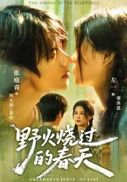 野火烧过的春天短剧HD高清1080P完整全集在线观看 第1张 野火烧过的春天短剧HD高清1080P完整全集在线观看 第1张