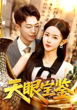 热门短剧天眼宝鉴（108集）杨林涛、赵书苑，全集完整版实时更新免费，未删减版百度夸克网盘资源分享下载。