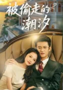 热门短剧被偷走的潮汐60集，高广泽、潘悦主演，全集完整版未删减，百度网盘夸克免费速存下载。  第1张