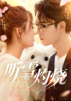 热门短剧听雪灼烧(68集)希尔力、刘美娜主演,全集完整版免费在线观看未删减,百度夸克网盘资源分享下载。 第1张 热门短剧听雪灼烧(68集)希尔力、刘美娜主演,全集完整版免费在线观看未删减,百度夸克网盘资源分享下载。 第1张