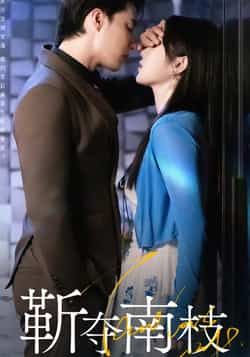 热门短剧靳夺南枝全集完整版免费在线观看，未删减版百度网盘、夸克网盘免费分享下载