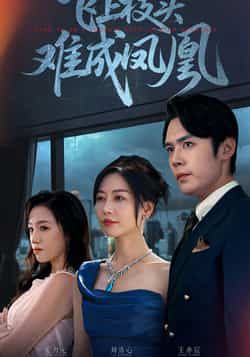 热门短剧飞上枝头难成凤凰全集完整版未删减,极速免费在线观看,百度网盘夸克网盘免费资源分享下载。 第1张 热门短剧飞上枝头难成凤凰全集完整版未删减,极速免费在线观看,百度网盘夸克网盘免费资源分享下载。 第1张