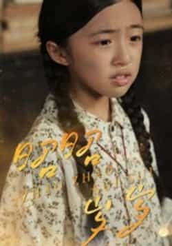 热门短剧昭昭岁岁全集未删减版免费在线观看，百度夸克网盘资源分享下载。  第1张