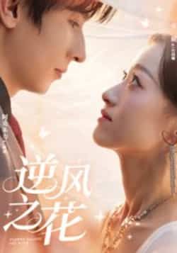 热门短剧逆风之花全集完整版免费稳定在线观看未删减，百度夸克网盘资源分享下载。  第1张
