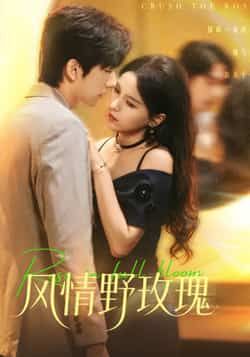 热门短剧风情野玫瑰全集完整版免费无广告在线观看，未删减百度夸克网盘资源免费下载。  第1张