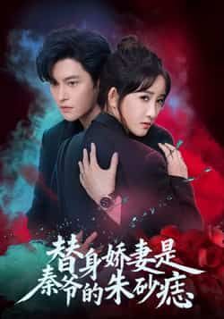 热门短剧替身娇妻是秦爷的朱砂痣全集完整版免费在线观看，未删减版百度夸克网盘速存分享下载。  第1张