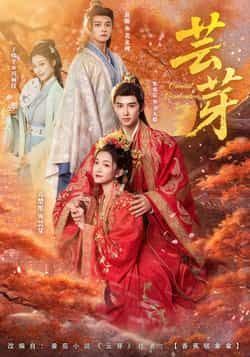 热门短剧芸芽全集完整版免费无需注册在线观看未删减版，百度网盘夸克网盘资源免费分享下载。  第1张