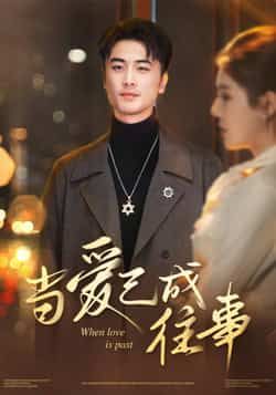 热门短剧当爱已成往事全集完整版免费在线观看，未删减版百度夸克网盘资源秒存分享下载  第1张