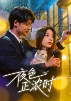 热门短剧夜色正浓时全集完整版实时更免费在线观看,未删减版百度夸克网盘资源分享下载 第1张 热门短剧夜色正浓时全集完整版实时更免费在线观看,未删减版百度夸克网盘资源分享下载 第1张