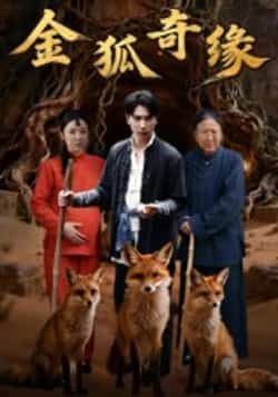 热门短剧金狐奇缘全集完整免费无水印在线观看,未删减百度网盘夸克网盘资源分享下载。 第1张 热门短剧金狐奇缘全集完整免费无水印在线观看,未删减百度网盘夸克网盘资源分享下载。 第1张