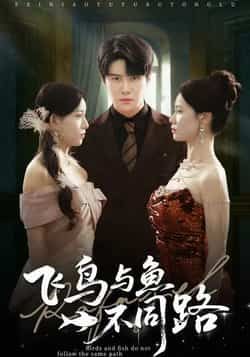 飞鸟与鱼不同路全集完整版免费无卡顿在线观看，未删减版百度网盘、夸克网盘免费资源分享下载。