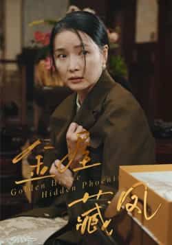 热门短剧金屋藏凤最新全集完整版免费在线观看未删减版，百度夸克网盘资源分享下载。  第1张