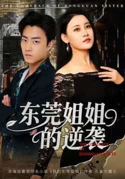 热门短剧东莞姐姐的逆袭全集完整版免费在线观看，未删减版百度网盘夸克网盘资源下载分享。  第1张