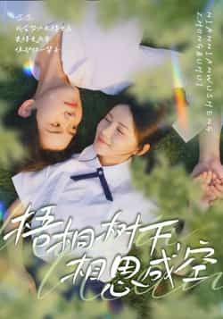 热门短剧梧桐树下，相思成空完整版全集未删减，免费在线观看，百度夸克网盘资源分享下载。