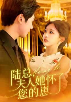 短剧陆总，夫人她怀了您的崽全集完整版稳定免费在线观看，百度夸克网盘未删减资源下载。  第1张