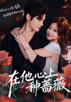 热门短剧在他心上种蔷薇全集最新完整版免费在线观看未删减，百度夸克网盘资源分享下载。
