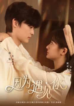 热门短剧因为遇见你全集更新完毕，未删减版免费在线观看，百度夸克网盘资源分享下载。