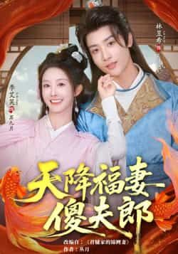 热门短剧天降福妻傻夫郎全集完整版免费在线观看，百度网盘、夸克网盘未删减资源分享下载。