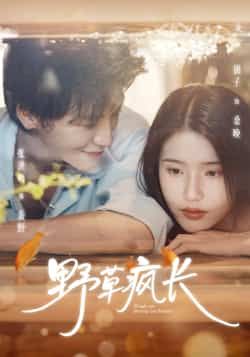 热剧野草疯长全集完结，免费看未删减版，百度夸克网盘免费资源下载。
