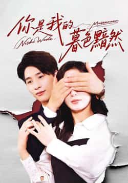 热门短剧你是我的暮色黯然全集完整版免费在线观看，未删减版百度网盘、夸克网盘资源下载分享。
