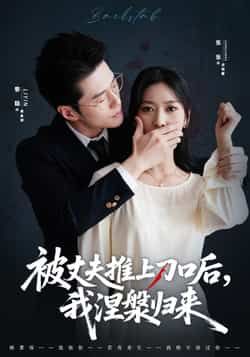 热门短剧被丈夫推上刀口后，我涅槃归来全集完整版免费无广告在线观看，百度夸克网盘免费资源下载