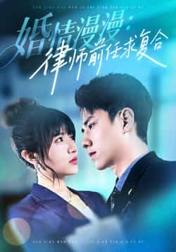 婚情漫漫，律师前任求复合全集未删减，免费在线观看，百度夸克网盘资源分享下载。